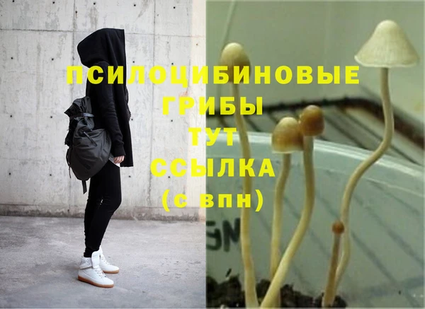 спайс Арсеньев