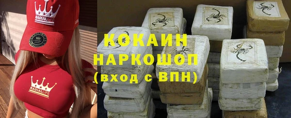 спайс Арсеньев