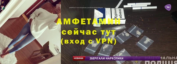 прущие грибы Няндома