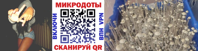 Галлюциногенные грибы Psilocybine cubensis  купить наркотик  Саратов 